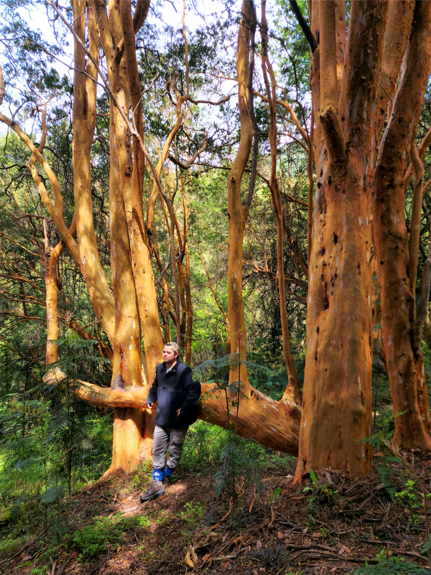 Lago General Carrera